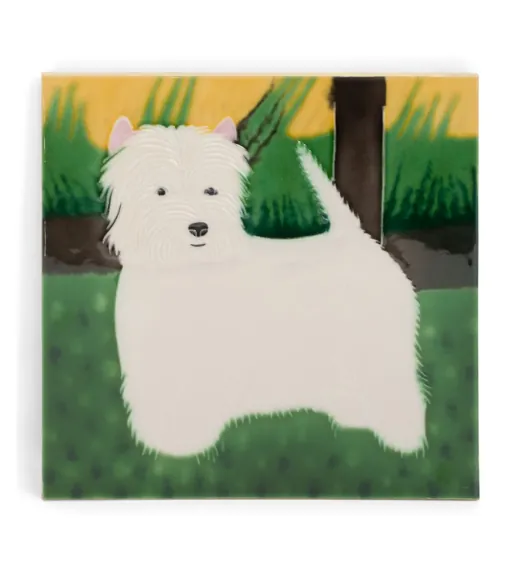 Ceramic Tile